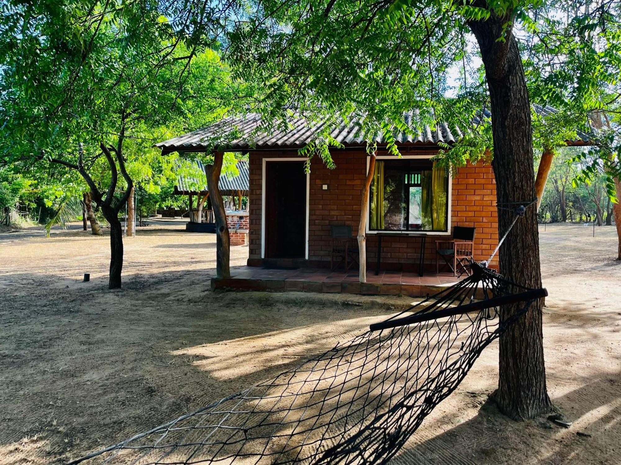 Funky Leopard Safari Lodge Bordering Yala National Park Kataragama Extérieur photo